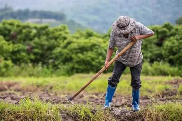 Productores hacen llamado al diálogo sobre PDL tasa cero